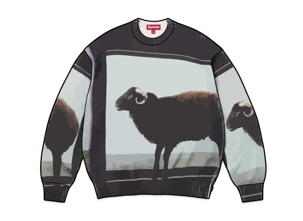 Supreme 25SS × Damien Hirst Sweater プレゼントキャンペーンの新品