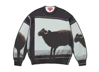 Supreme 25SS × Damien Hirst Sweater プレゼントキャンペーンの新品 Supreme 25SS × Damien Hirst Sweater プレゼントキャンペーンの新品
