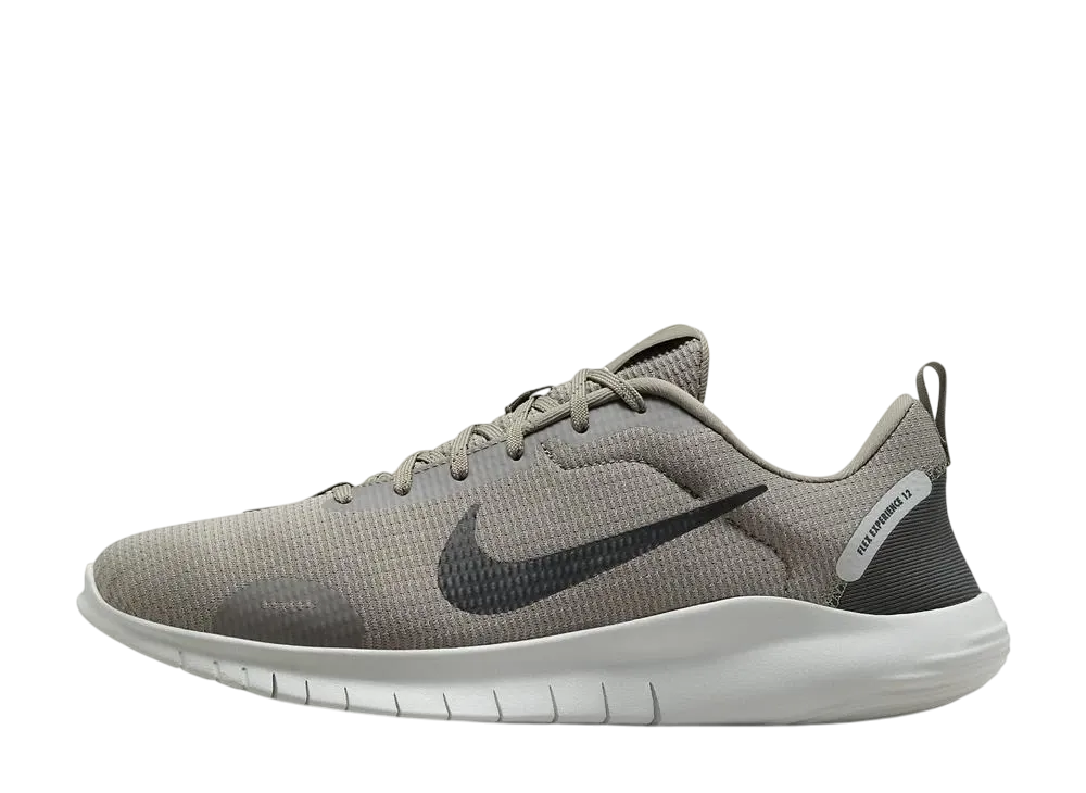ナイキ フラックス エクスペリエンスラン12 "ライトアーミー/ライトシルバー/ヴィンテージグリーン"