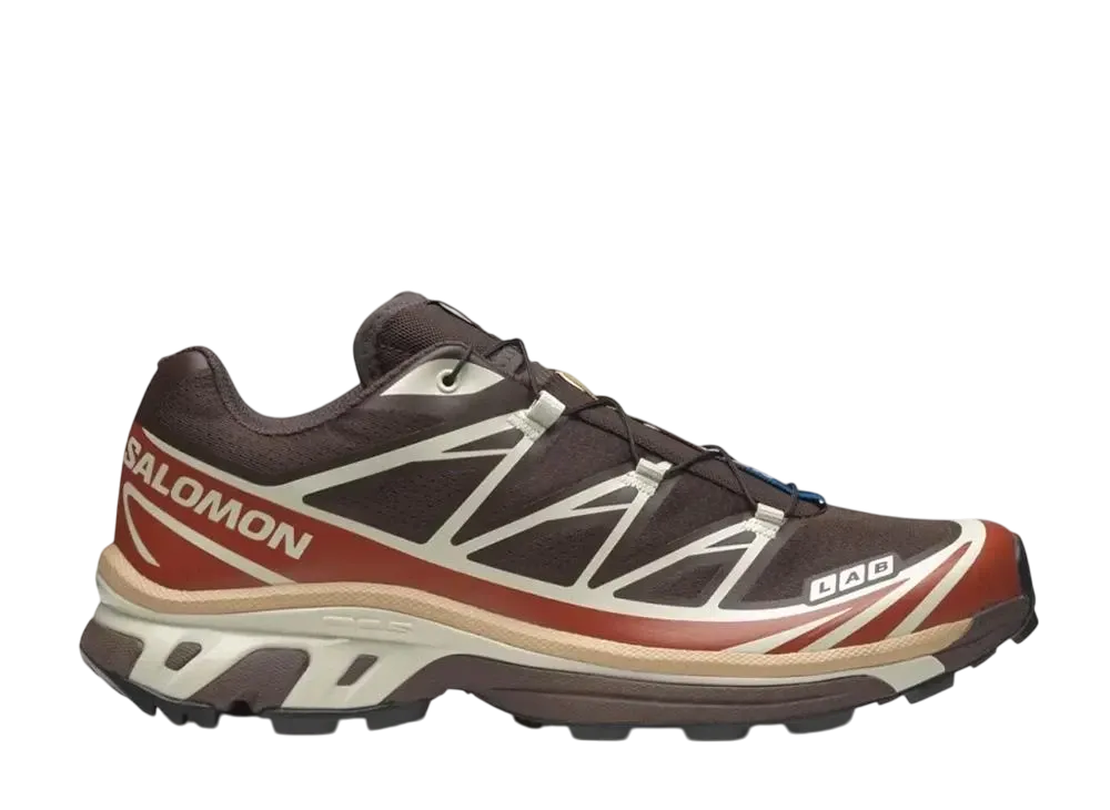 サロモン XT-6 "ローステッドクレイ/バーントオーカー/アーモンドミルク"