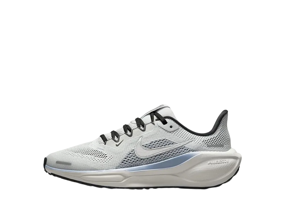 Nike GS Pegasus 41 "Photon Dust/Ashen Slate/Black/Metallic Silver"