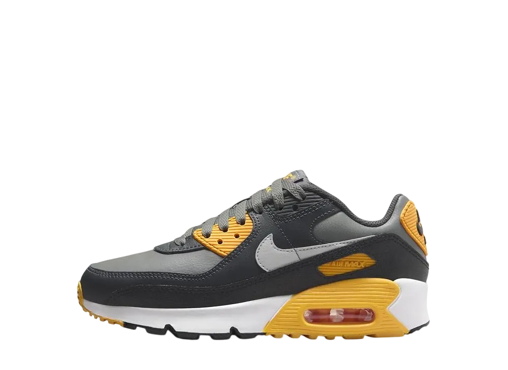 Nike GS Air Max 90 "Smoke Grey/Anthracite/White/Light Smoke Grey"