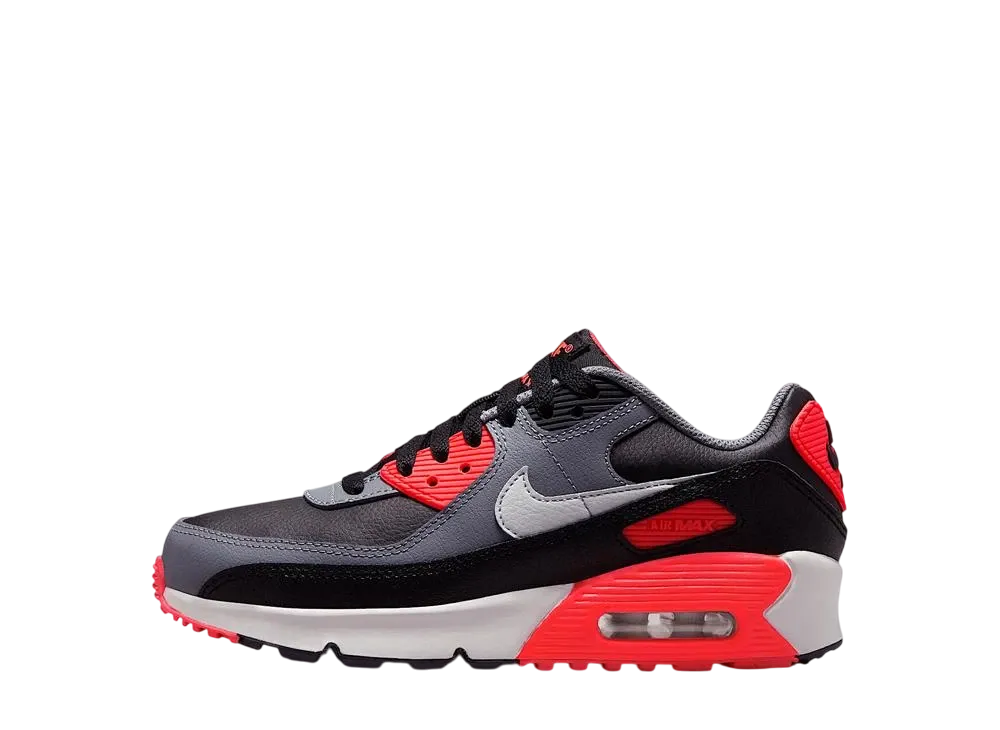 Nike GS Air Max 90 "Black/Cool Grey/Bright Crimson/Photon Dust"