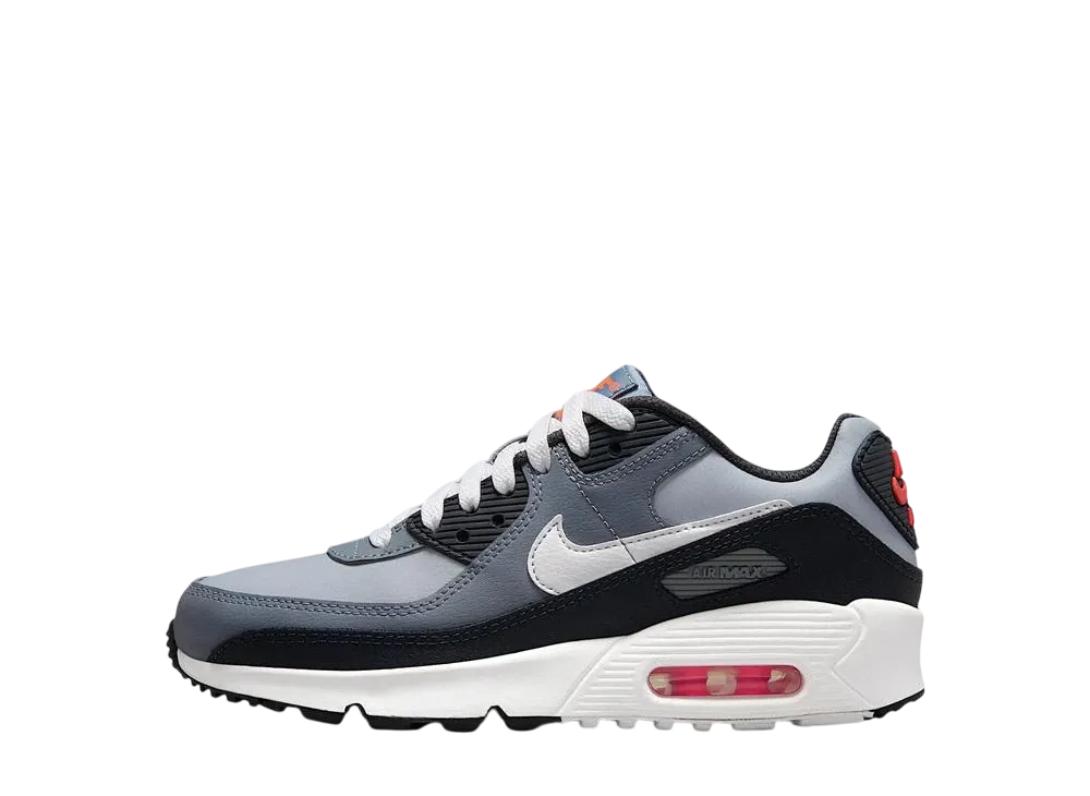 Nike GS Air Max 90 "Wolf Grey/Cool Grey/Anthracite/White"