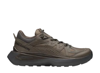 Salomon Odyssey ELMT Low "Wren/Delicioso/Black"