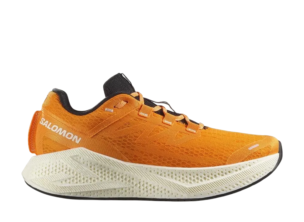 Salomon Aero Glide 3 "Turmeric/White/Black"