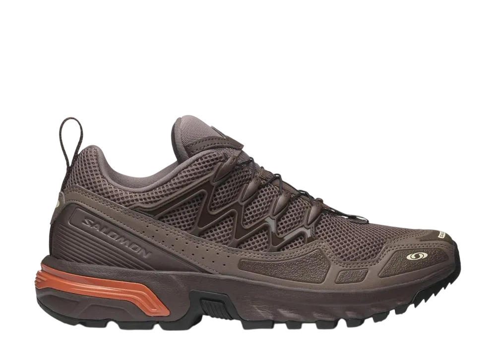 サロモン ACS + OG "アイアン/ブラッケン/オータムグレーズ"