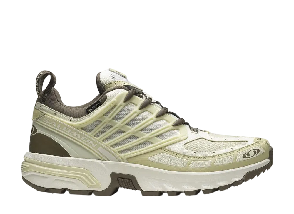 Salomon ACS Pro GORE-TEX "Vanilla Ice/Green Haze/Stone Gray"