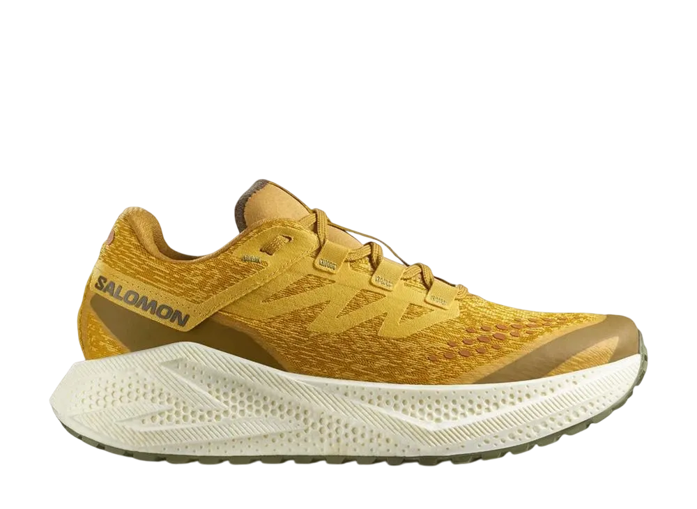 Salomon Aero Glide 3 Grvl "Spicy Mustard/Vanilla Ice/Deep Lichen Green"