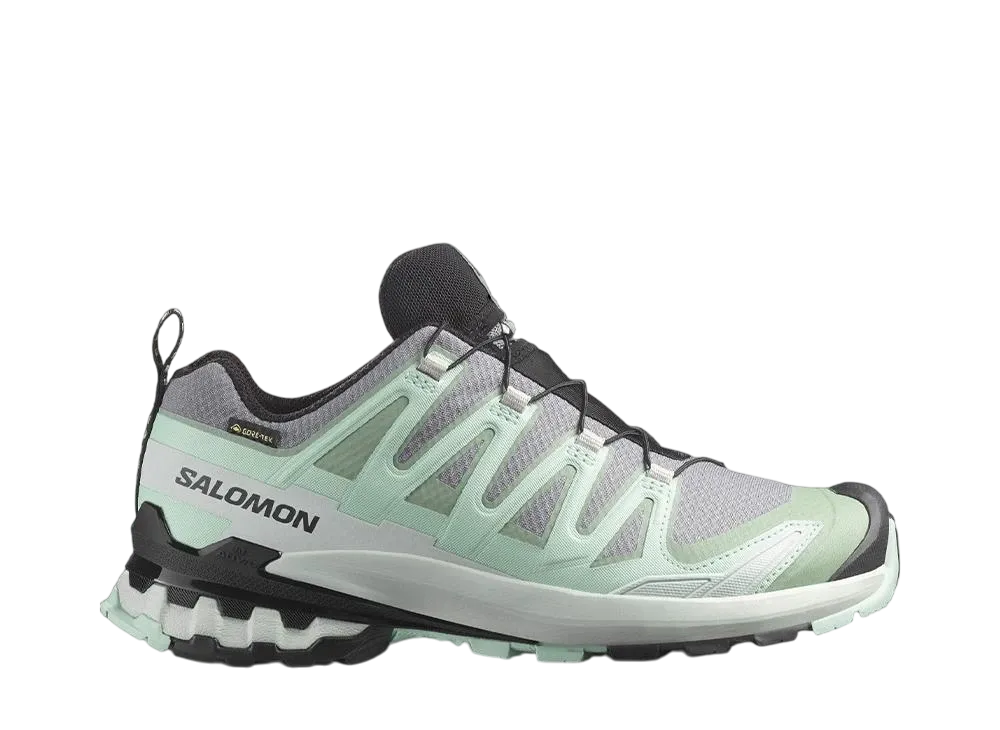 サロモン ウィメンズ XA プロ 3D V9 ゴアテックス "クワイエットシェード/リリーパッド/ブルーヘイズ"