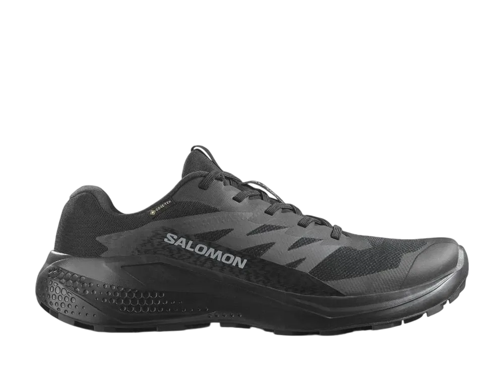 Salomon Alphaglide GORE-TEX "Black/Asphalt/Black"
