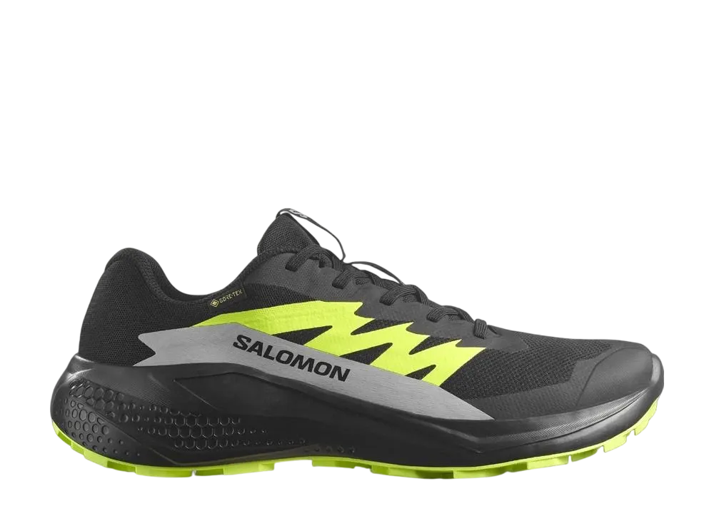 サロモン アルファグライド ゴアテックス "ブラック/アロイ/シャープグリーン"