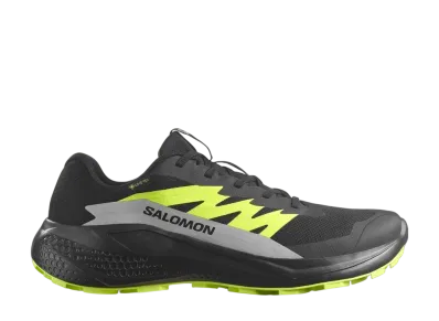 Salomon Alphaglide GORE-TEX "Black/Alloy/Sharp Green"
