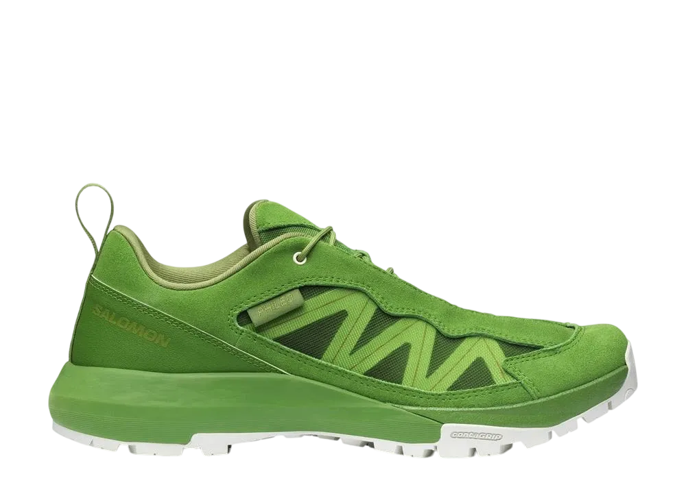 サロモン アルパインウェイ SP2 フィレオ "ツリートップ/アイシクル/カラグリーン"