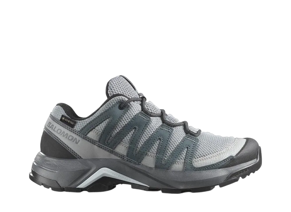 サロモン ウィメンズ Xアドベンチャー リーコン ゴアテックス "モニュメント/タービュランス/バラッドブルー"