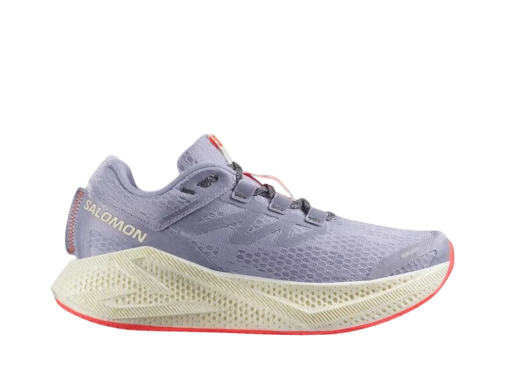 サロモン ウィメンズ エアログライド3 "コズミックスカイ/バニラアイス/ナインアイアン"