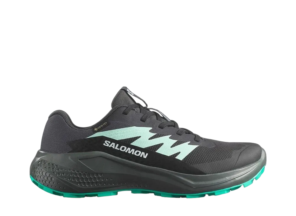 サロモン ウィメンズ アルファグライド ゴアテックス "ファントム/アーバンシック/ウォーターフォール"