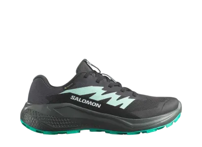 Salomon Women's Alphaglide GORE-TEX "Phantom/Urban Chic/Waterfall"