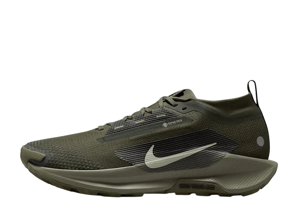 Nike Pegasus Trail 5 GORE-TEX "Sequoia/Cargo Khaki"