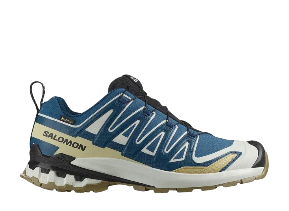 サロモン XA プロ 3D V9 ゴアテックス "ダークブルー/アイシクル/アロエ"