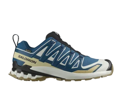 サロモン XA プロ 3D V9 ゴアテックス "ダークブルー/アイシクル/アロエ"