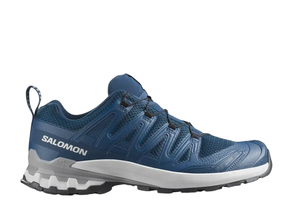 サロモン XA プロ 3D V9 "ポセイドン/アイシクル/アロイ"