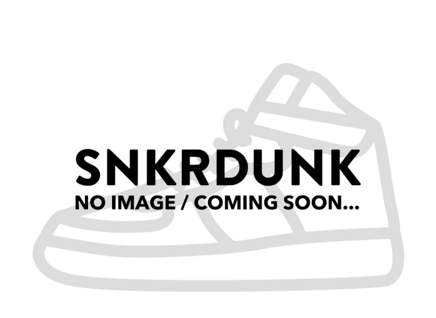 ナイキ SB ダンク ロー プロ B "シナモン"