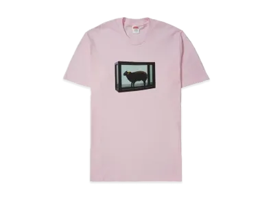 Supreme Damien Hirst Tee "Pink"