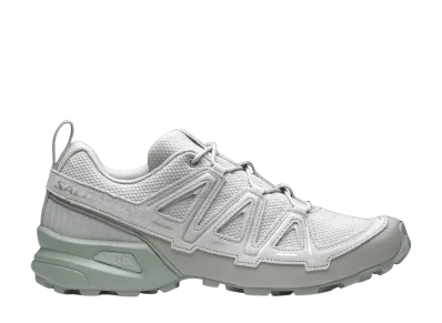 Salomon Speedcross 3 Expanse "Metal/Green Milieu/Wrought Iron"