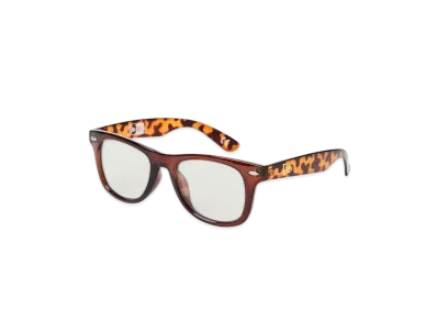 NEW ERA Sunglasses Wellington Square Lens Brown Frame Photochromic Brown Lens "Brown"