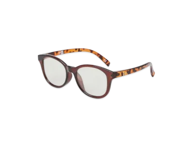 NEW ERA Sunglasses Boston Square Lens Brown Frame Photochromic Brown Lens "Brown"