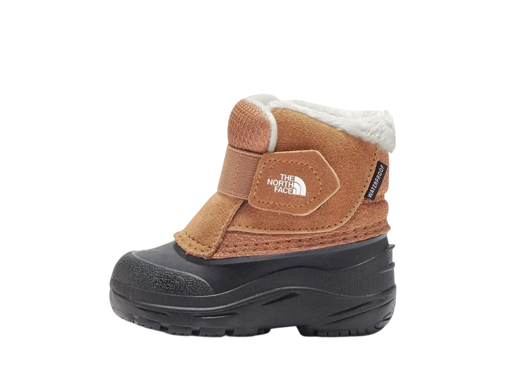 ザノースフェイス TD アルペン グロー2 "トーステッドブラウン/トーステッドブラウン" (キッズ) (NFB02470)