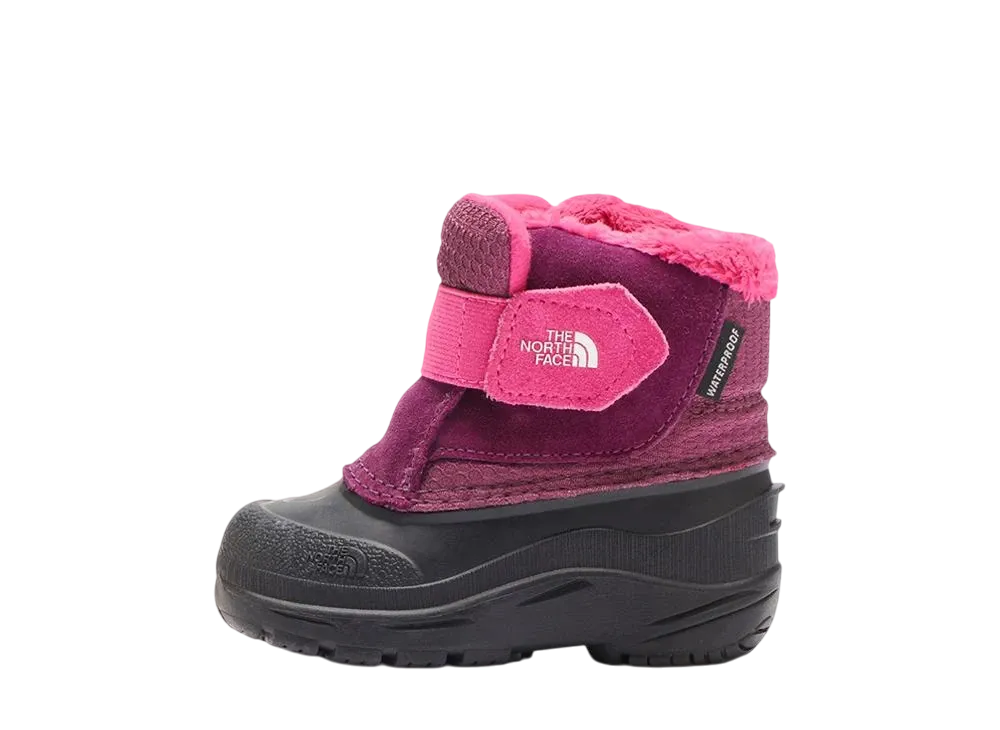 ザノースフェイス TD アルペン グロー2 "ボイセンベリー/TNFブラック" (キッズ) (NFB02470)