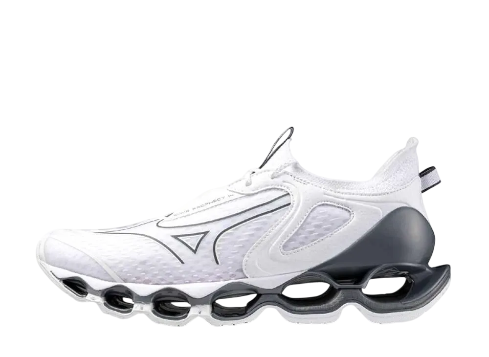 ミズノ ウエーブプロフェシー14 "ホワイト/シルバー"