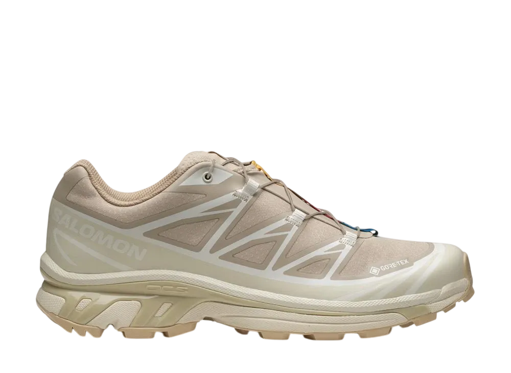 3/12発売｜Salomon XT-6 GORE-TEX 