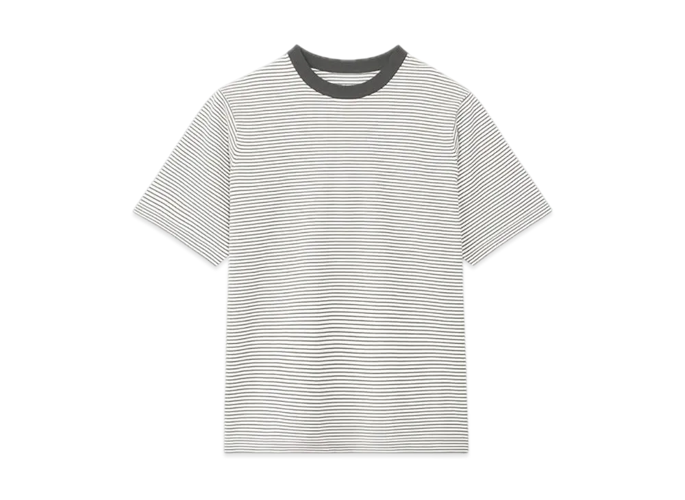 Goldwin Delta Peak T-shirt (Unisex) "Ivory/Gray"