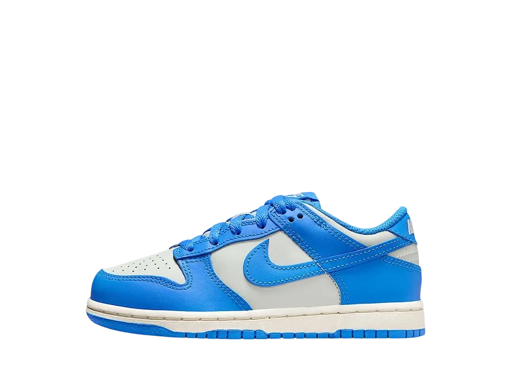 Nike PS Dunk Low "Light Silver/Sail/Light Photo Blue"