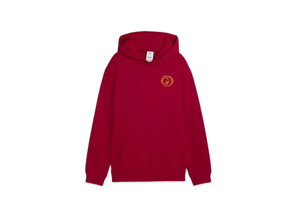 PUMA x Harry Potter Boys Relax Graphic Hoodie "Dark Crimson"