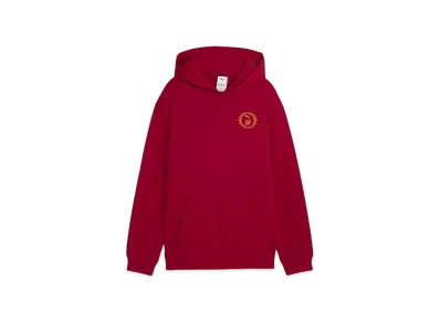 PUMA x Harry Potter Boys Relax Graphic Hoodie "Dark Crimson"