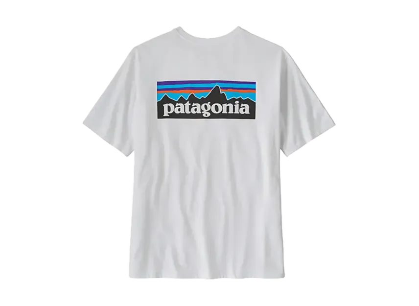 パタゴニア P-6ロゴ・レスポンシビリティー 商品画像