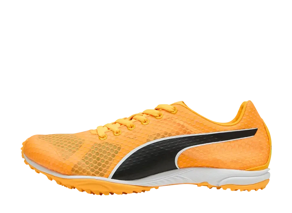 プーマ エヴォスピード ハラカ8 "サンストリーム/プーマブラック/プーマホワイト"