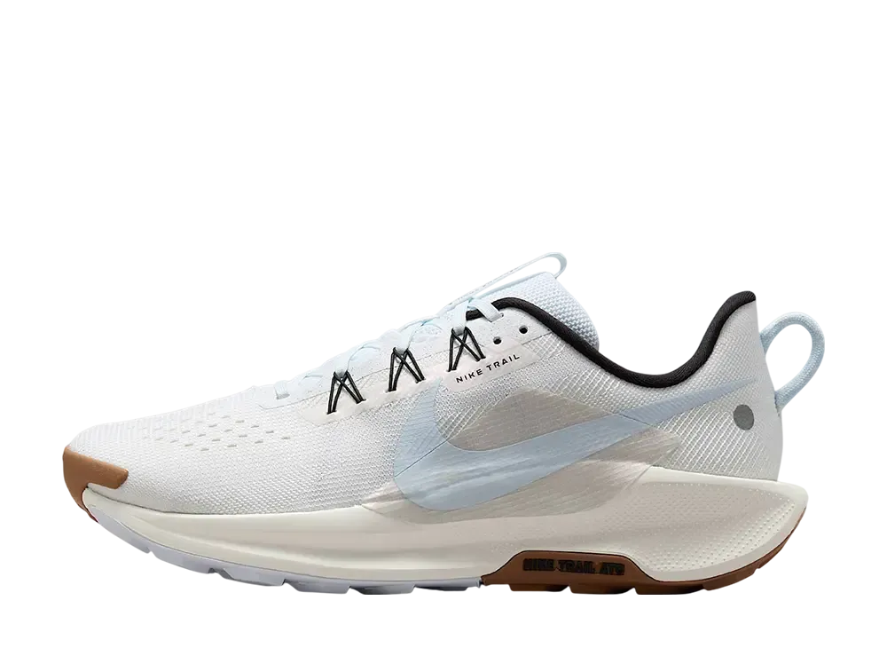 ナイキ ペガサストレイル5 "ホワイト/メタリックシルバー/セイル/ブルーティント"