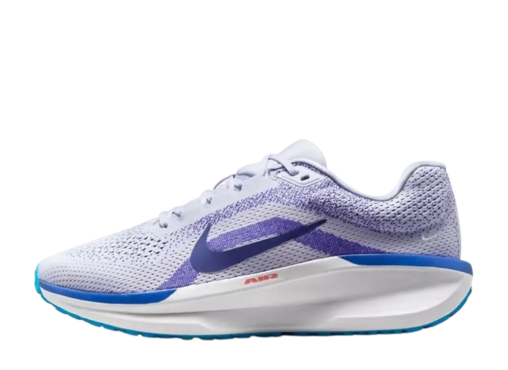 ナイキ ウィンフロー11 "ゴースト/フットボールグレー/ディープナイト/ブルーボイド"