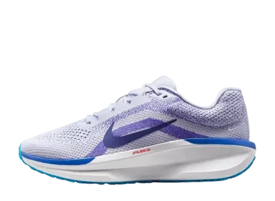 Nike Winflo 11 "Ghost/Football Grey/Deep Night/Blue Void"