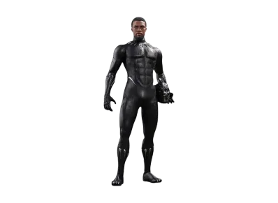 Hot Toys "Movie Masterpiece" -Black Panther- 1/6 Scale Fully Poseable Figure: Black Panther