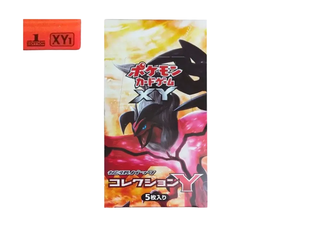 コレクションY