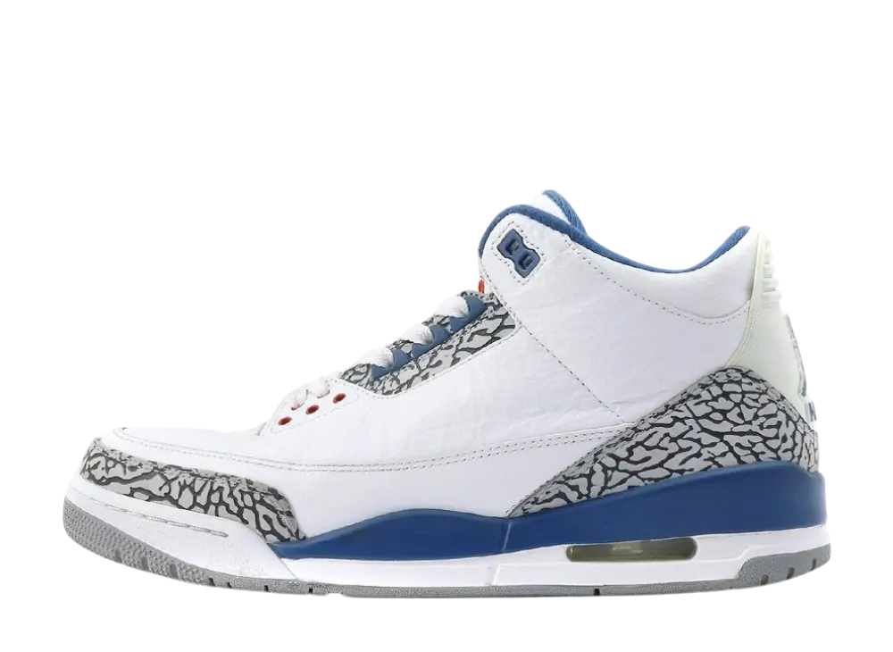 Nike Air Jordan 3 Retro "True Blue" (2011)