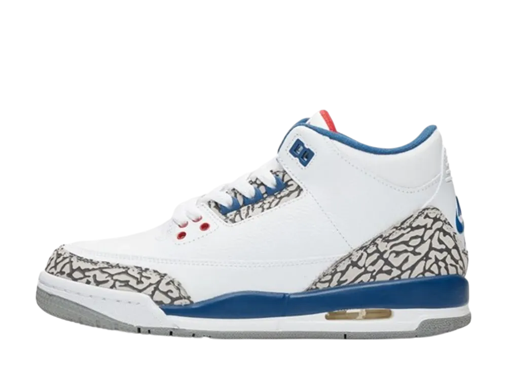 Nike GS Air Jordan 3 Retro "True Blue" (2016)