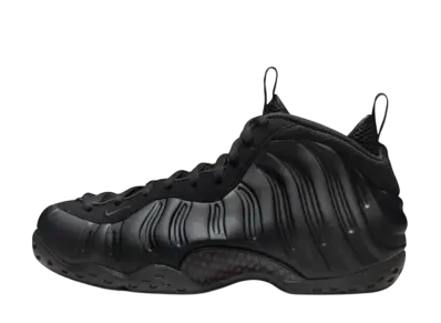 Nike Air Foamposite One "Black"