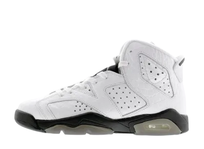 Nike GS Air Jordan 6 Retro "Alligator"